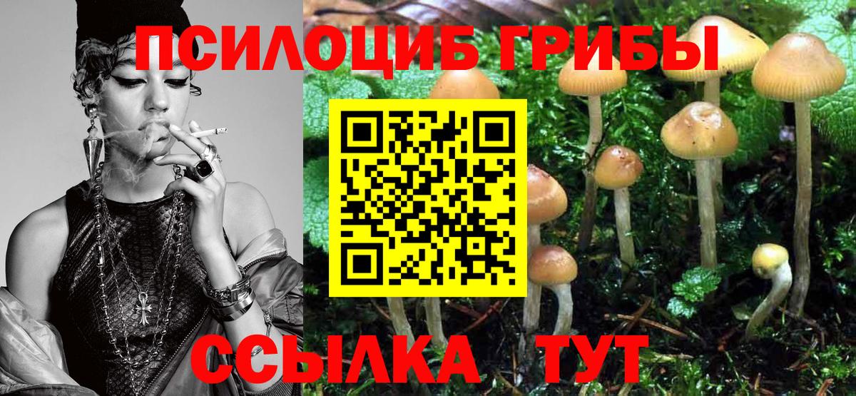 Галлюциногенные грибы GOLDEN TEACHER Гудермес